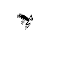 explore icon